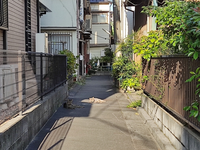 再建築不可から脱出！43条但し書き道路解決の実例