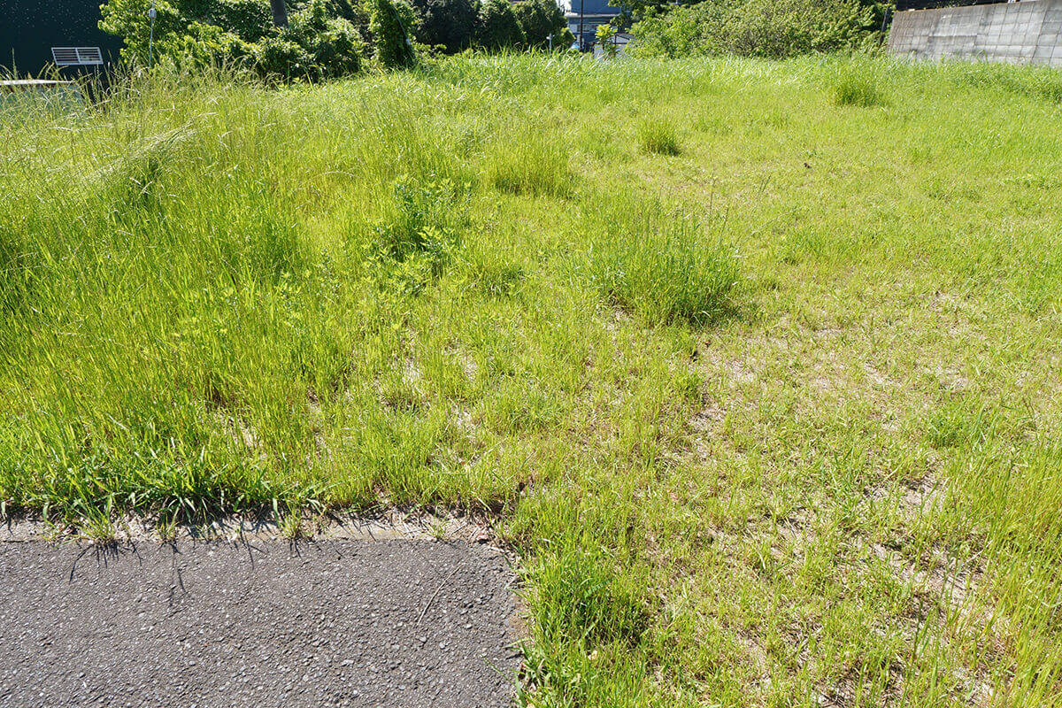 未登記建物・境界不明土地